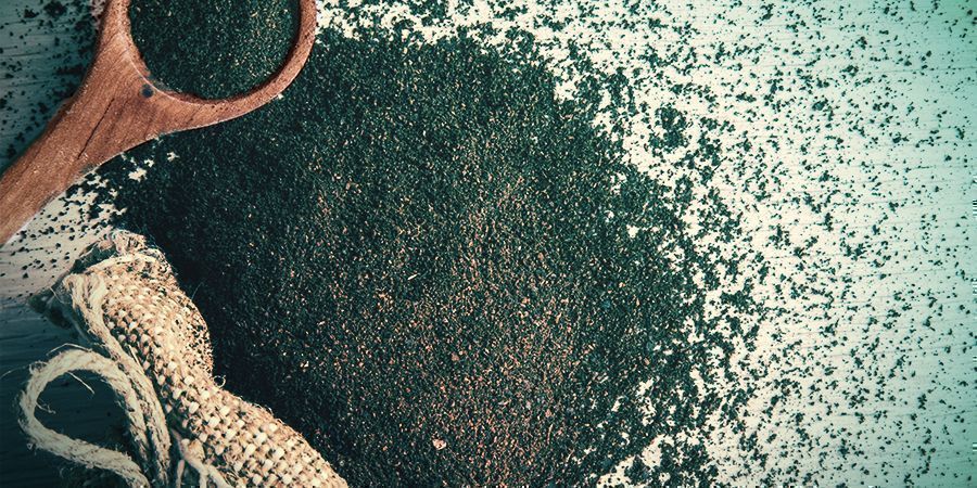 Kaffegrums Prevent Mushroom Flies - Coffee Grounds