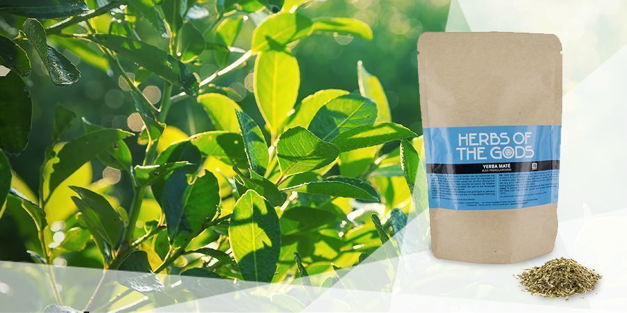 Yerba Mate - Vape-urter til godt humør