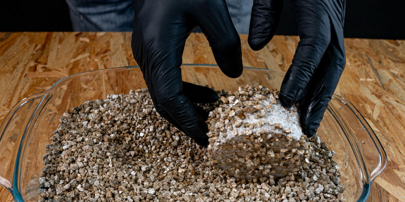 Rul dem i vermiculit PF tek roll them in vermiculite