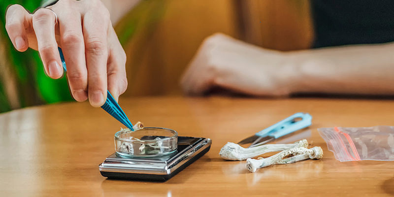 Mikrodoseringens oprindelse The Origins Of Microdosing