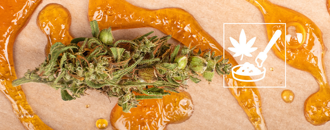 Den ultimative guide til cannabis-koncentrater