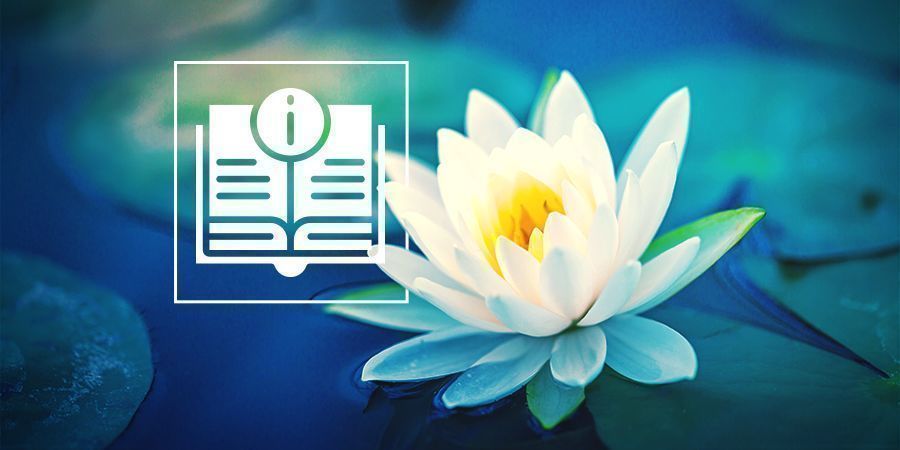 Alt, du skal vide om hvid lotus Alt, du skal vide om hvid lotus
