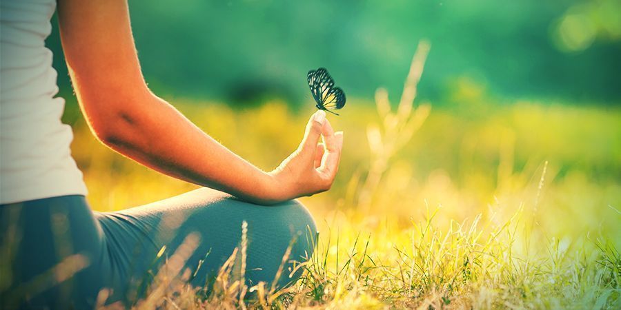 Hvilke effekter har hvid lotus? HVILKE EFFEKTER HAR HVID LOTUS?
