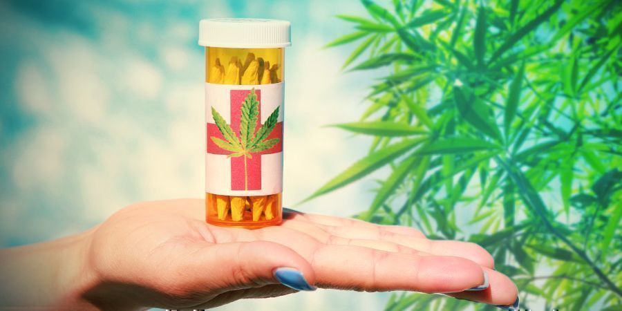 Kollektiver Cannabis-kollektiver: Nonprofitorganisationer