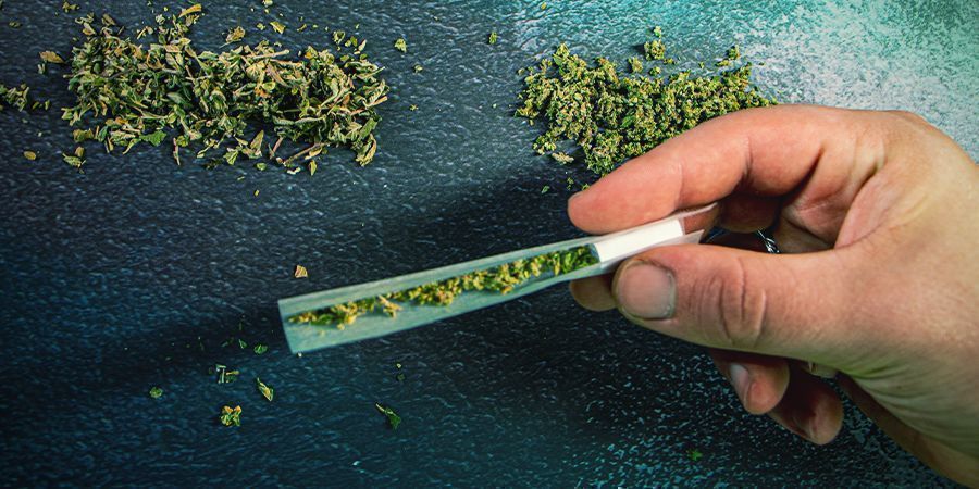 Et overflødighedshorn af cannabis ET OVERFLØDIGHEDSHORN AF CANNABIS