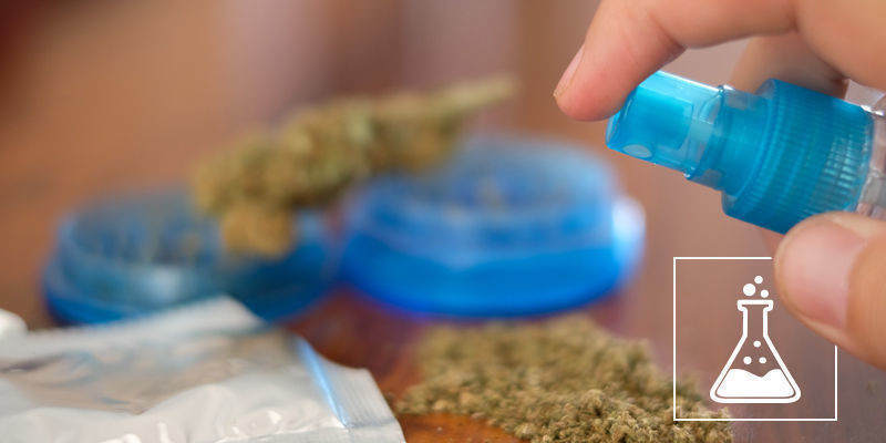 Hvad er syntetisk cannabis? Hvad er syntetisk cannabis?