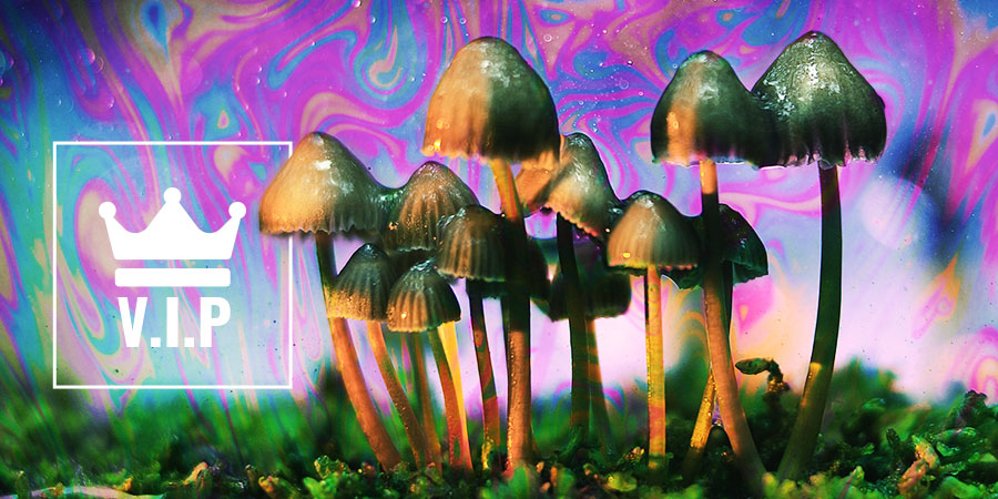 Psykedelika-VIP'er Psykedelika-VIP'er