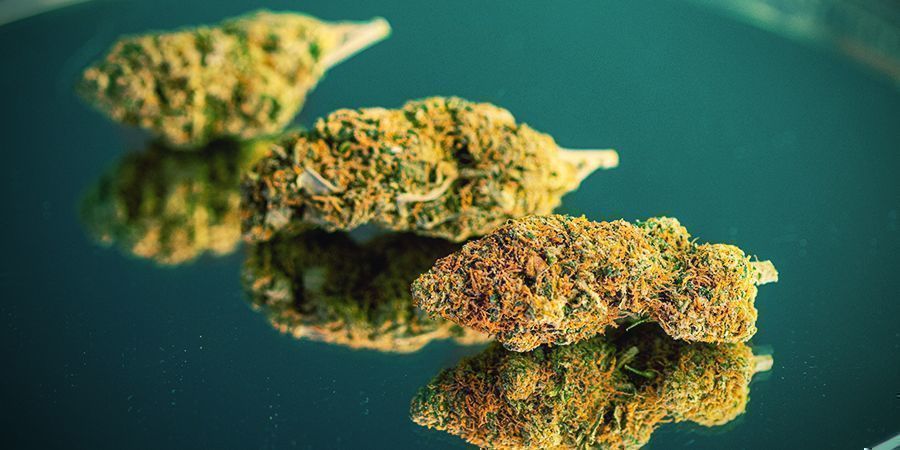 Marijuana Marijuana