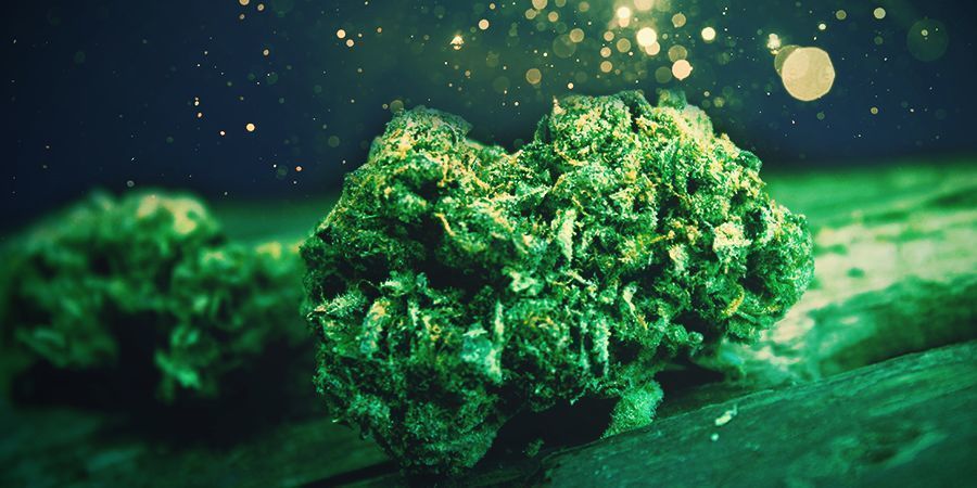 Cannabisblomst CANNABIS FLOWER