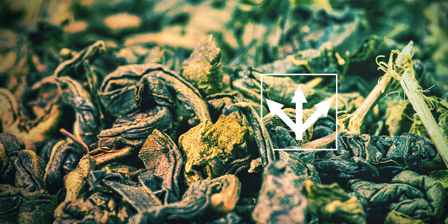 Varianter af gunpowder-te VARIANTER AF GUNPOWDER-TE