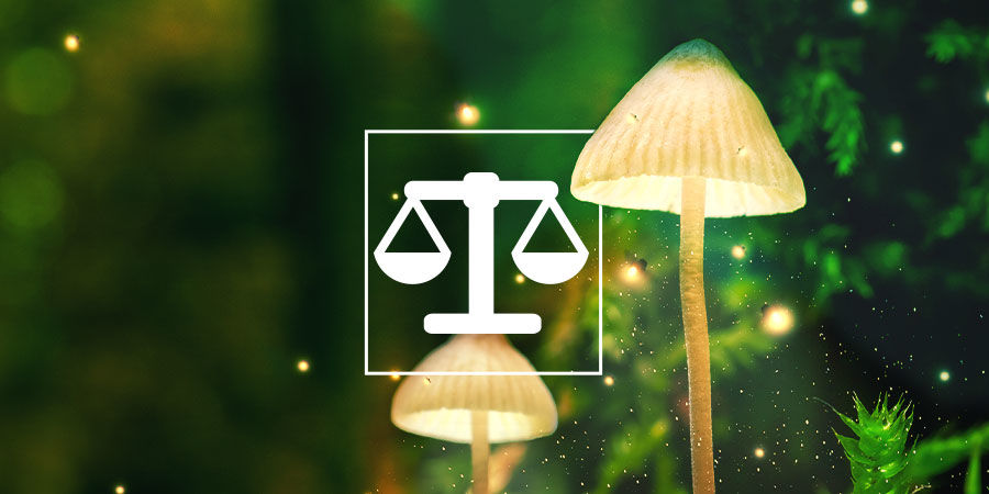 S&aring;dan vejer og doserer du psykedelika sikkert