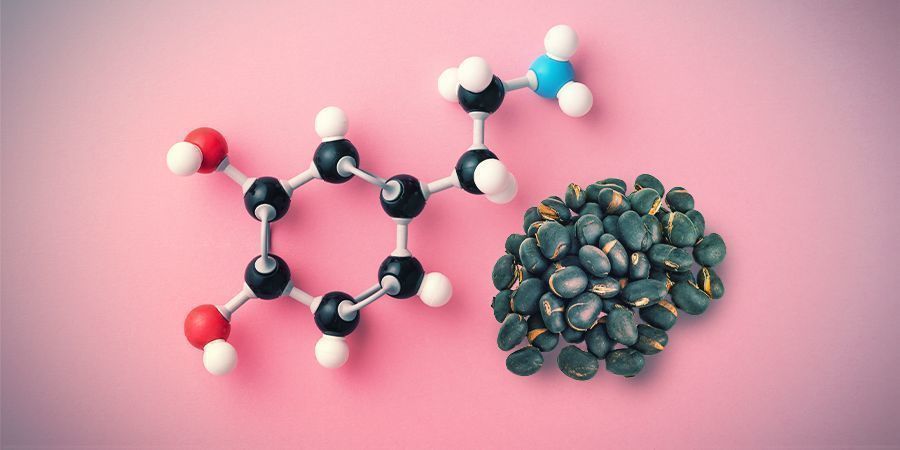 Aktive ingredienser og virkninger VELVET BEAN: AKTIVE INGREDIENSER OG VIRKNINGER