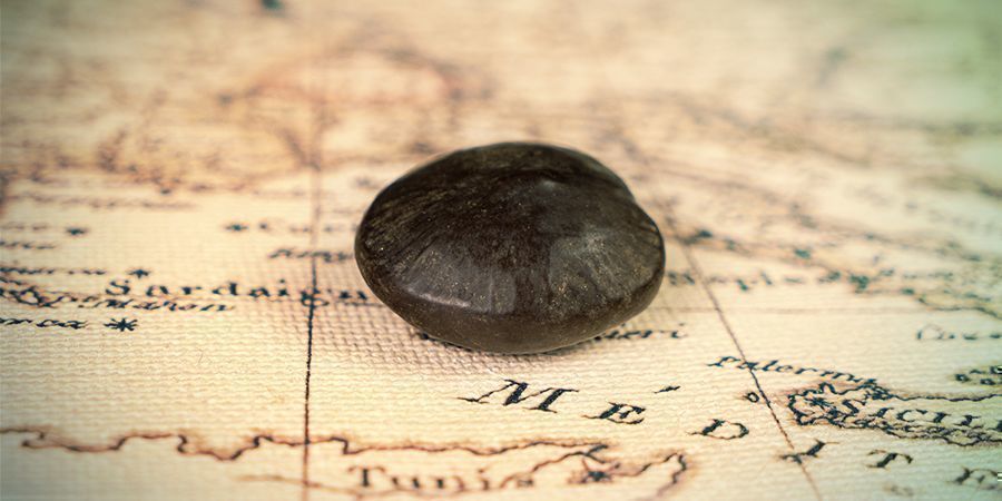 African Dream Seeds: Traditionel brug og historie African Dream Seeds: Traditionel brug og historie
