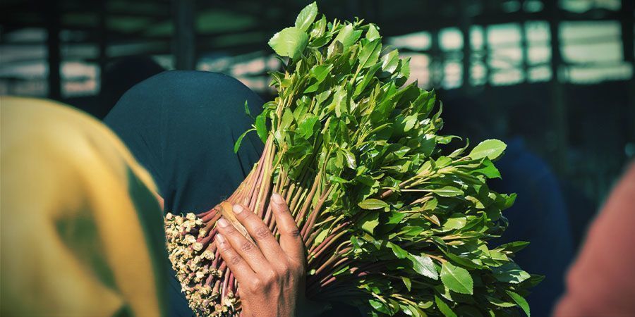 Ethylone (khat)