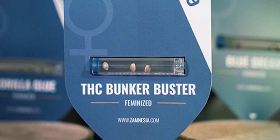 Nye cannabisfrø-kampagner hver måned Nye cannabisfrø-kampagner hver måned Zamnesia