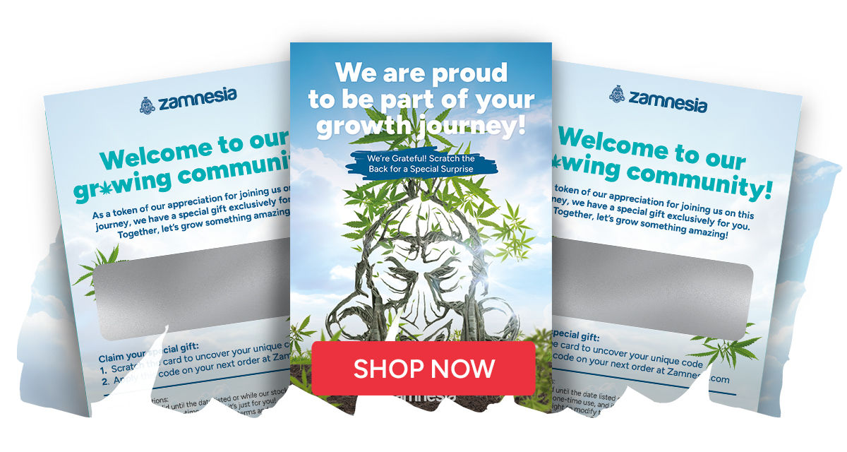 Skrabelodder Scratch Cards
