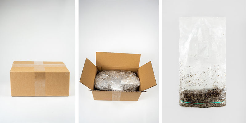 Hvad følger med Zamnesia Ready-2-Grow Bag? Hvad følger med Zamnesia Ready-2-Grow Bag?