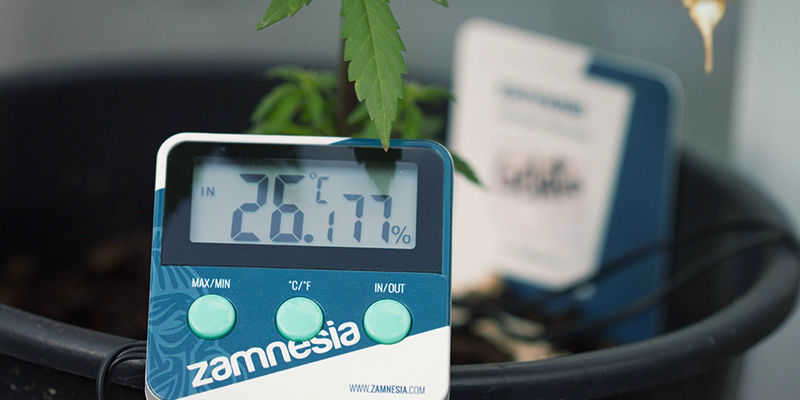 Sådan bruger du Zamnesia hygrometer/termometer Sådan bruger du Zamnesia hygrometer/termometer