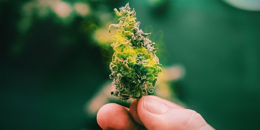 Fordele og ulemper ved vandkurering THE PROS AND CONS OF WATER CURING