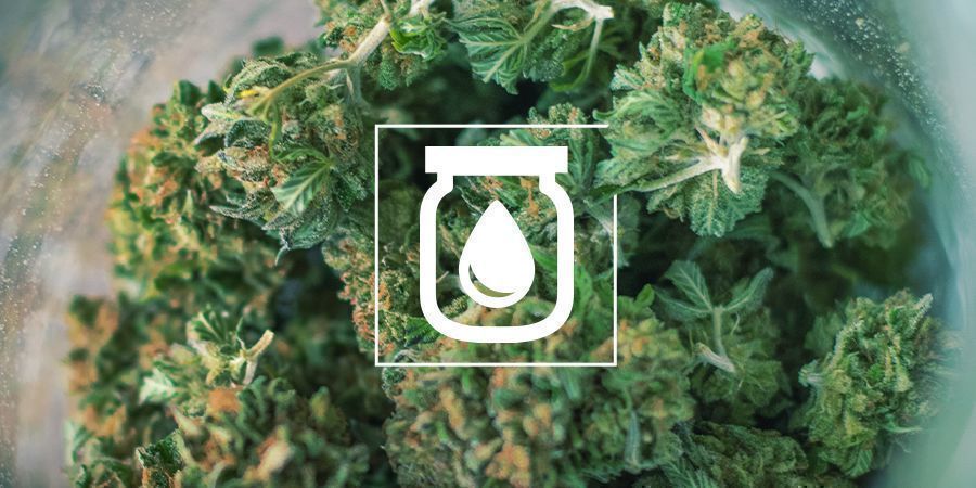 Vandkurering af cannabis: Hvad det er, og hvordan du gør Vandkurering af cannabis: Hvad det er, og hvordan du gør