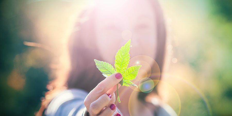 Cannabis-entusiaster Cannabis-entusiaster