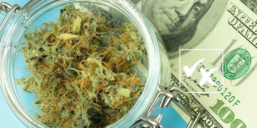 Fordele og ulemper ved Autoflower frø