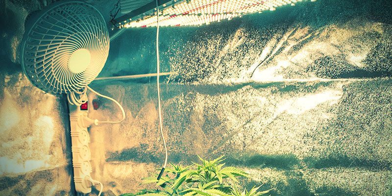 Et eksempel på et growroom A Sample Grow Room
