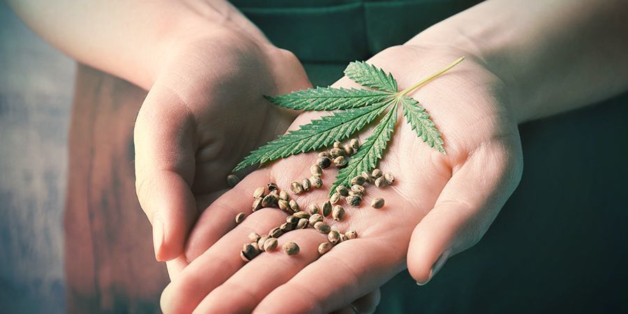 V&aelig;lg den rigtige sort