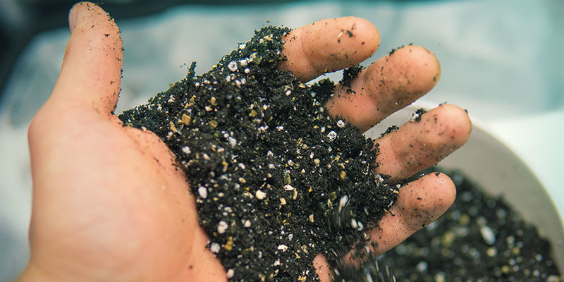 Jordluftning Cannabis Nutrient Availability: Soil aeration