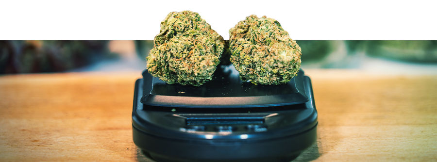 Cannabisv&aelig;gte