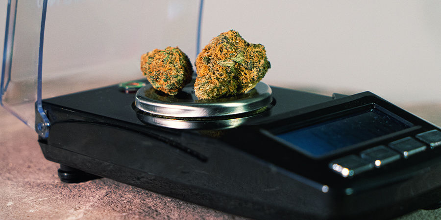 Vigtige specifikationer for cannabisvægte Vigtige specifikationer for cannabisvægte