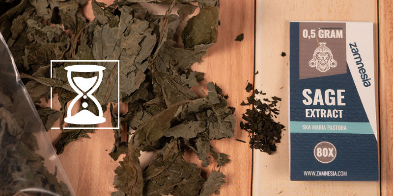 Hvor længe varer virkningen af Salvia divinorum? Hvor længe varer virkningen af Salvia divinorum?