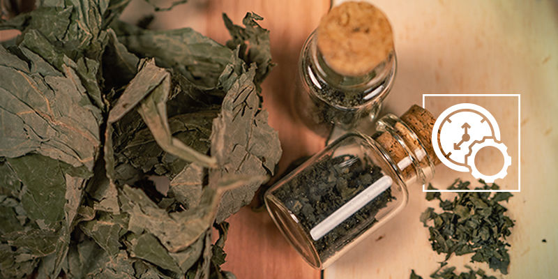 Hvor længe bliver Salvia divinorum i kroppen? Hvor længe bliver Salvia divinorum i kroppen?