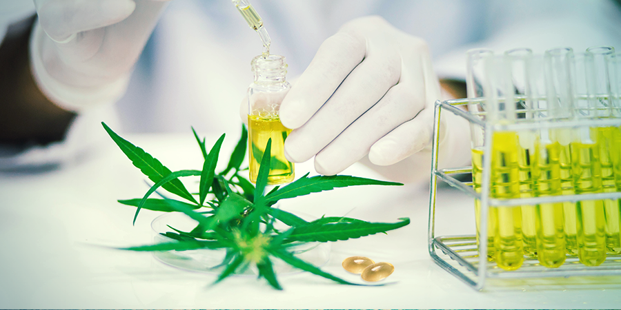 Effekten af CBD-kapsler Effekten af CBD-kapsler