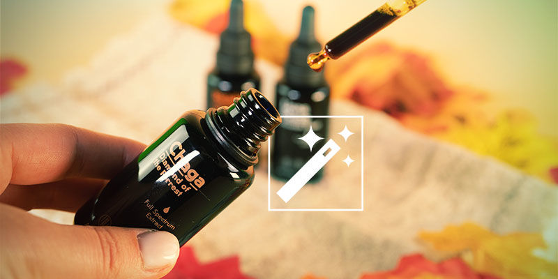 Virkninger af svampetinkturer Effects of Mushroom Tinctures