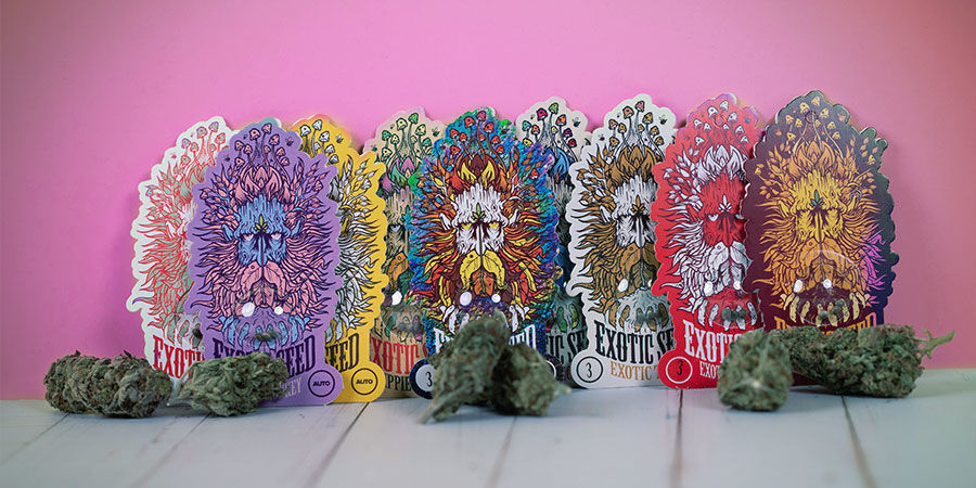Prisvindende cannabissorter fra Exotic Seed Prisvindende cannabissorter Exotic Seed