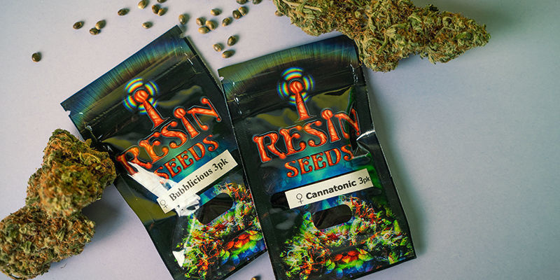 Hvordan pakkes Resin Seeds Cannabisfrø? Resin Seeds Packaging
