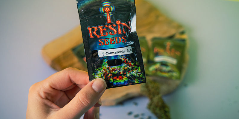 Resin Seeds: Stifterne af CBD-bevægelsen Resin Seeds: Stifterne af CBD-bevægelsen