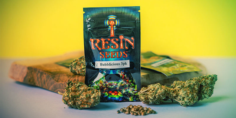 Hvad gør Resin Seeds særlige? Hvad gør Resin Seeds særlige?