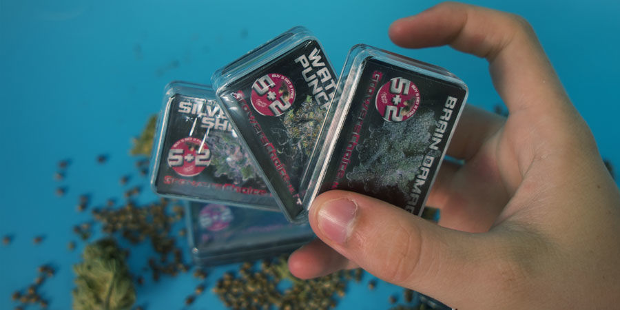 Growers Choice: Gør disse frø til dit valg Growers Choice: Gør disse frø til dit valg