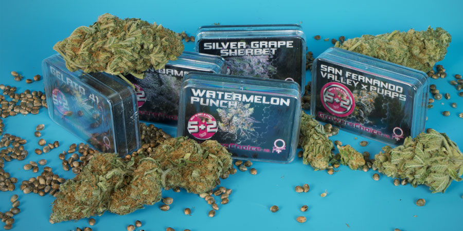Hvem er Growers Choice? Hvem er Growers Choice?
