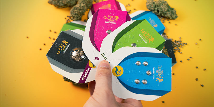 Er Royal Queen Seeds gode? Royal Queen Seeds Good?