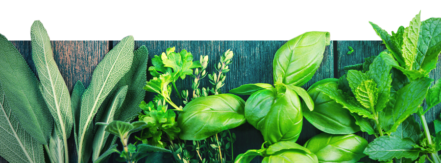 Information om vape urter Information About Vape Herbs