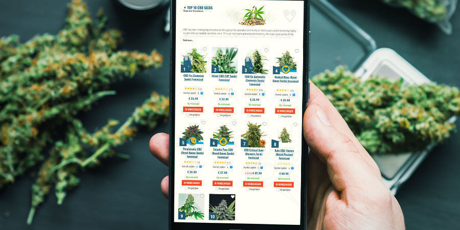 Hvor finder du de bedste sorter med højt CBD-indhold online? Hvor finder du de bedste sorter med højt CBD-indhold online?
