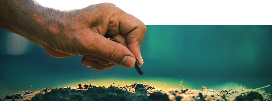 Smart Seeds - Dyrk naturlige psykedelika og &aelig;ldgamle afrodisiaka derhjemme