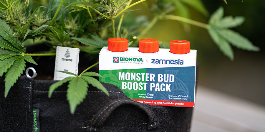 Produkter til at booste cannabisplantens ydeevne Andre produkter til at booste cannabisplantens ydeevne