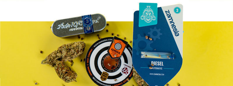 Om Diesel-sorter Om Diesel-sorter