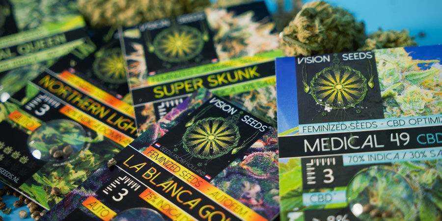 Vision Seeds: Kun tilgængelig som feminiserede cannabisfrø Vision Seeds: Available As Feminized Seeds Only