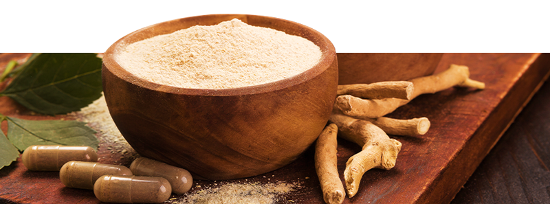 Køb ayurvediske produkter online hos Zamnesia Køb ayurvediske produkter online hos Zamnesia