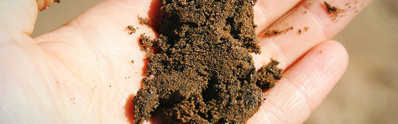 Sandjord Sandy soil